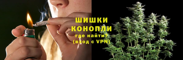 прущие крисы Дмитриев