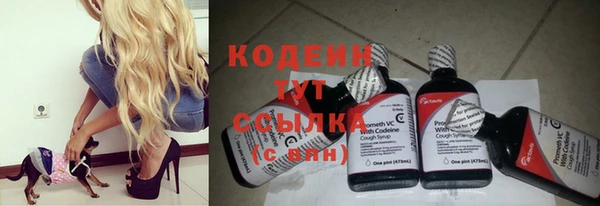 Альфа ПВП Гусев