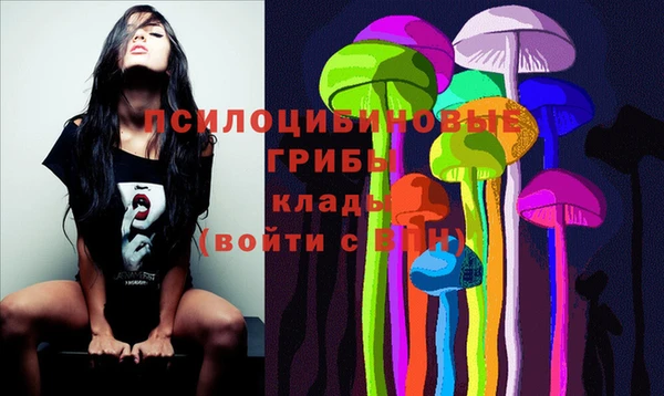 прущие крисы Дмитриев