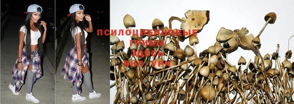 прущие крисы Дмитриев