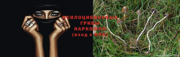наркотики Елабуга