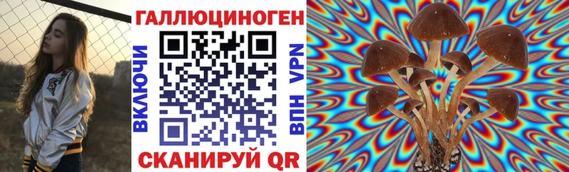Купить  Куйбышев  Галлюциногенные грибы Cubensis 